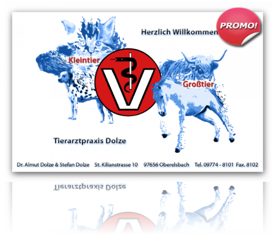 Banner Tierarztpraxis Dolze - Ihre Spezialisten für Klein- und Großtiere! Mit Link zur Website www.tierarztpraxis-dolze.info .